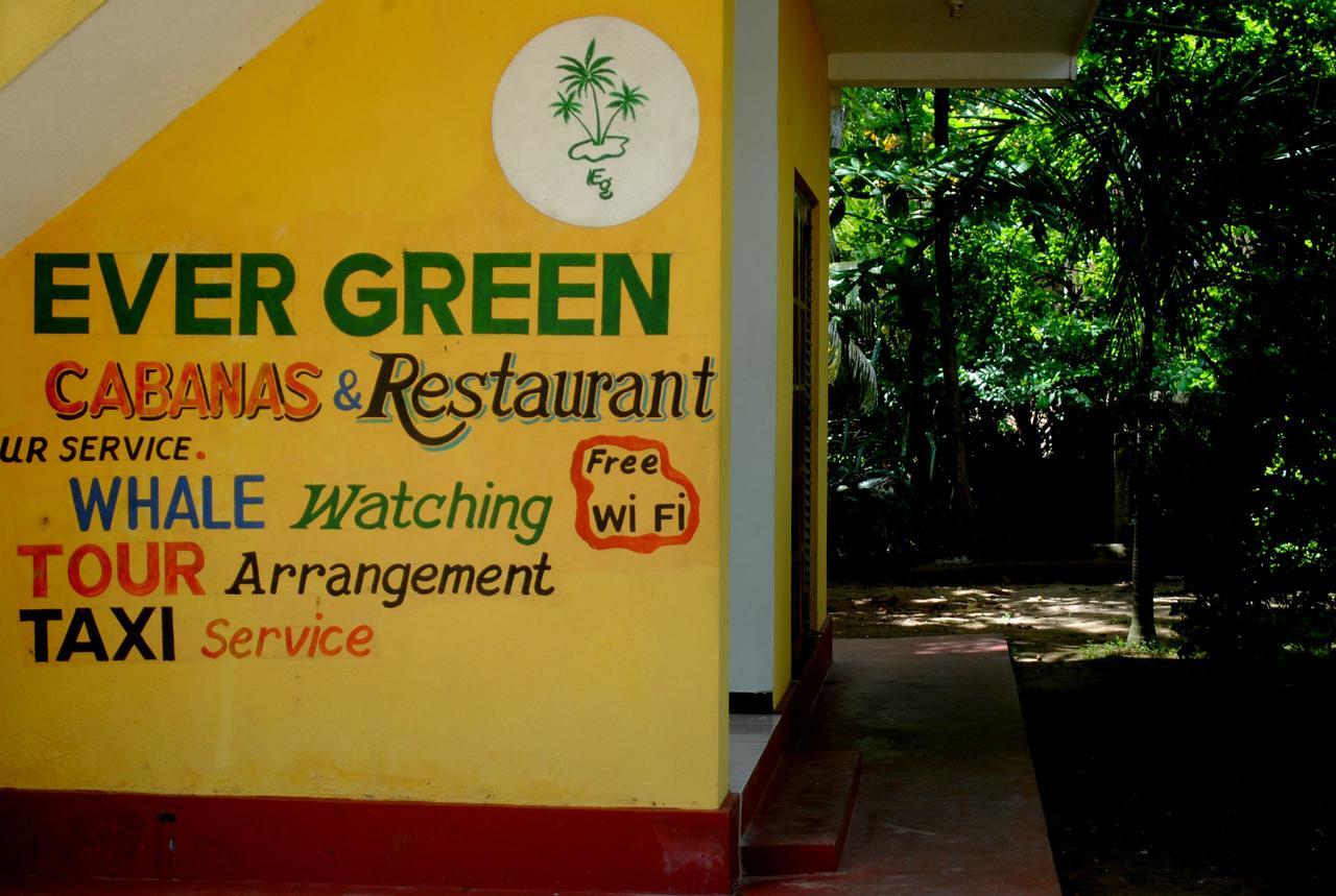 Ever Green Mirissa Εξωτερικό φωτογραφία