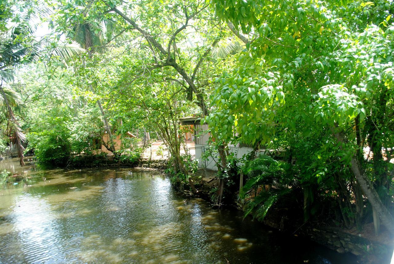 Ever Green Mirissa Εξωτερικό φωτογραφία